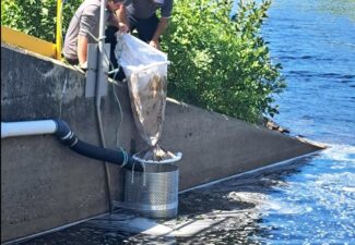 Capture d’écran 2024-11-04 130939